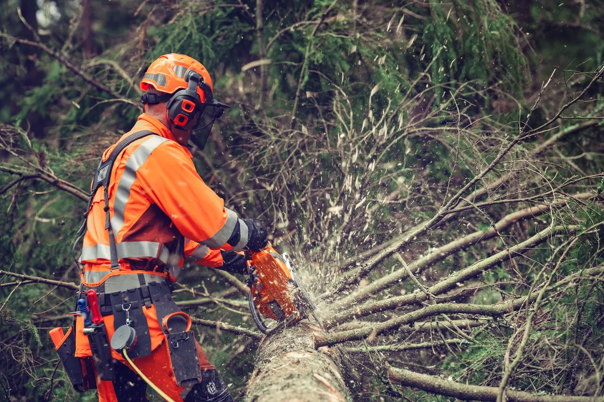 Lühikäiguline mootor